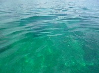 見て！エメラルドグリーンの海です！